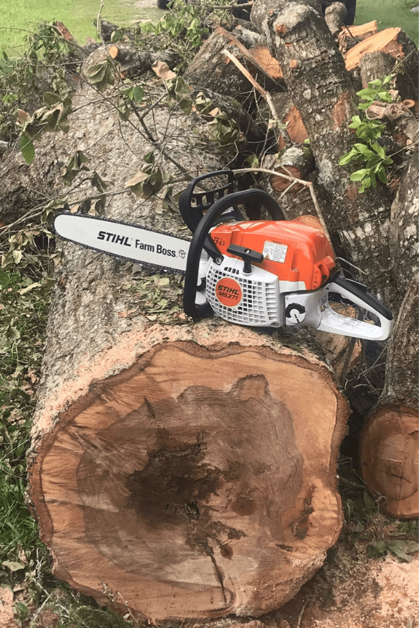 STIHL Tree Cutting Equipment